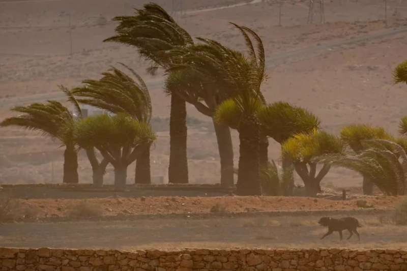 AEMET issues warnings for strong winds and a drop in temperatures across the Canary Islands