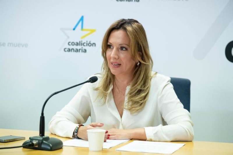 Cabildo introduces new fuel tax to ‘penalise’ drivers in Tenerife
