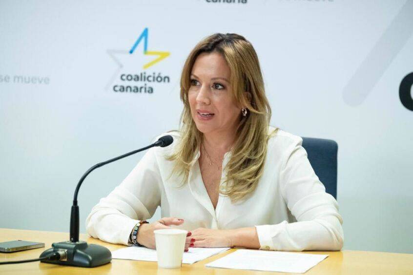 Cabildo introduces new fuel tax to ‘penalise’ drivers in Tenerife
