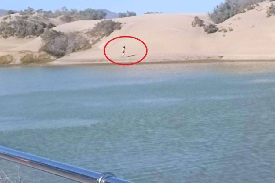 Tourist ignores rules and walks through protected area of the Maspalomas Dunes
