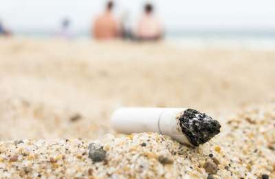 Strict new fines being introduced for littering and dog mess in major clean-up push