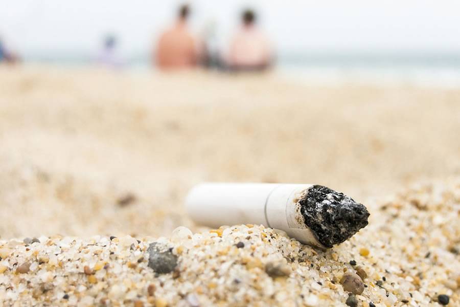 Strict new fines being introduced for littering and dog mess in major clean-up push