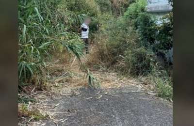 Suspect caught trying to start fire in Gran Canaria woodland 