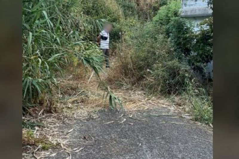 Suspect caught trying to start fire in Gran Canaria woodland 