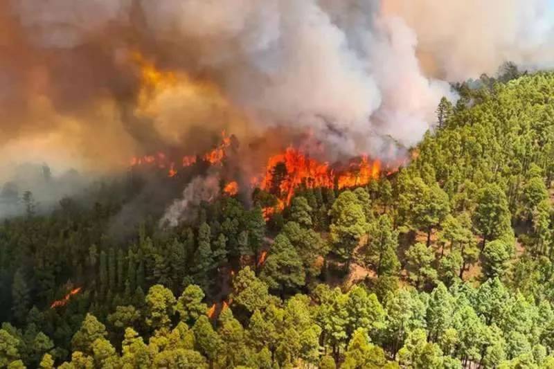 Canary Islands on high alert for wildfires due to heatwave and strong winds