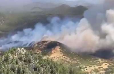 Tenerife fire stabilised after calm night with no flare-ups