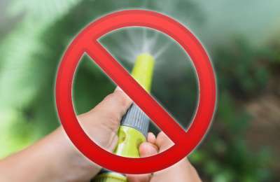 Hosepipe Ban in Tenerife: Councils limit filling pools and washing cars in certain areas