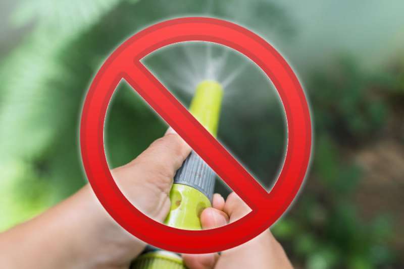 Hosepipe Ban in Tenerife: Councils limit filling pools and washing cars in certain areas