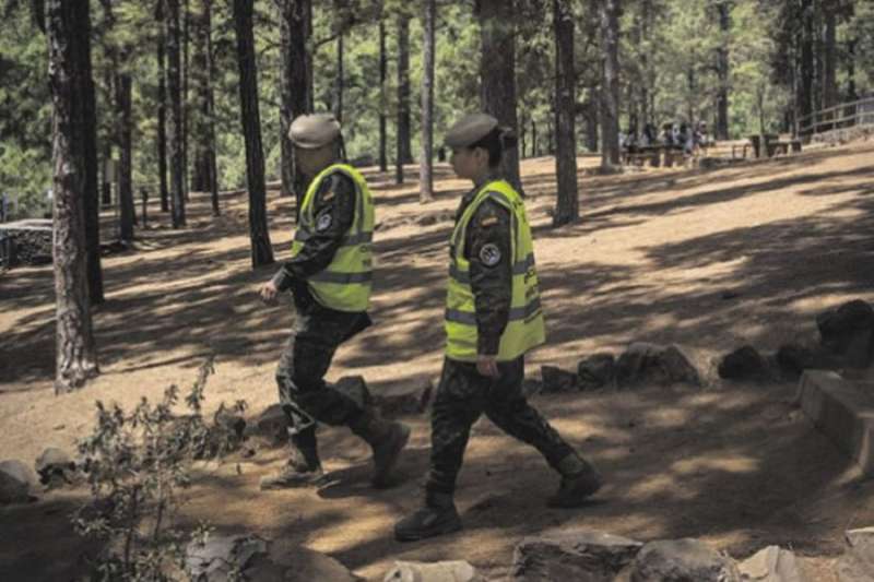 Fast Response Prevents Environmental Disaster in Tenerife Wildfire