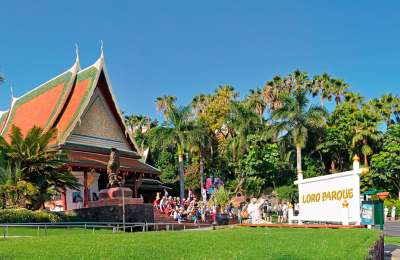 Loro Parque fined €250,000 over use of visitors’ fingerprints