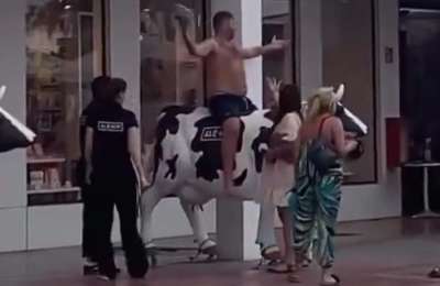 VIDEO: Drunk British tourist turns ale-hop cow into rodeo ride in Adeje