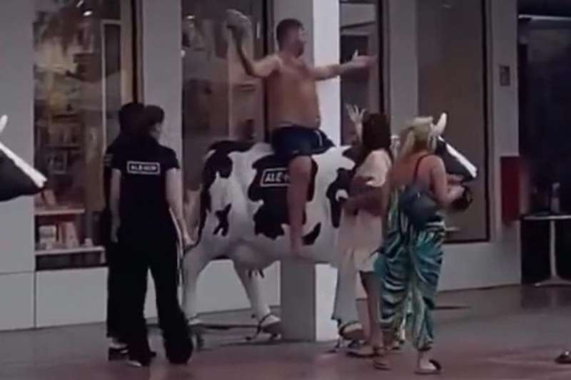 VIDEO: Drunk British tourist turns ale-hop cow into rodeo ride in Adeje