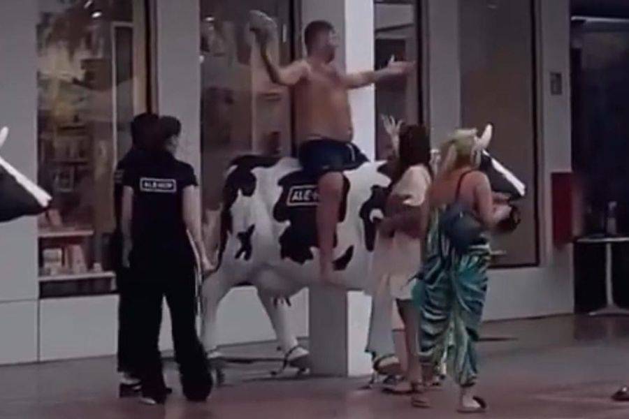 Canarian Weekly - VIDEO: Drunk British tourist turns ale-hop cow into ...