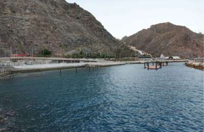 Dead fish found at Tenerife bathing area forces beach closure