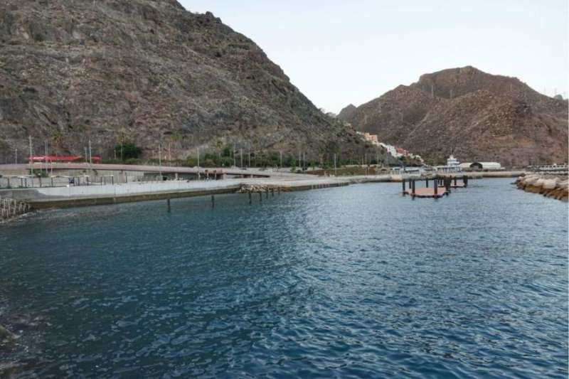 Dead fish found at Tenerife bathing area forces beach closure