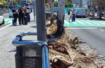 The disgraceful first impression at Tenerife South Airport spark tourism concerns