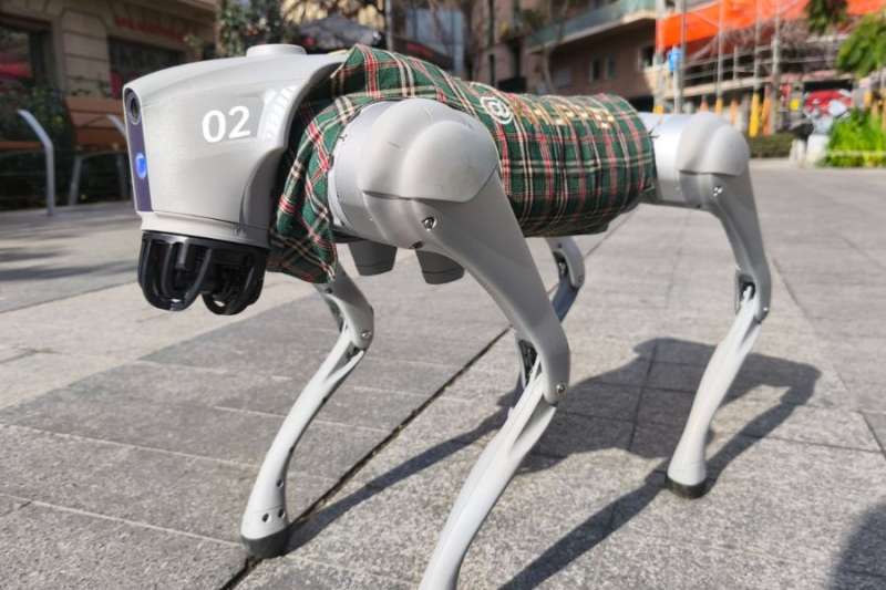  Khlipper, the robotic dog designed to assist people with disabilities, visits Lanzarote