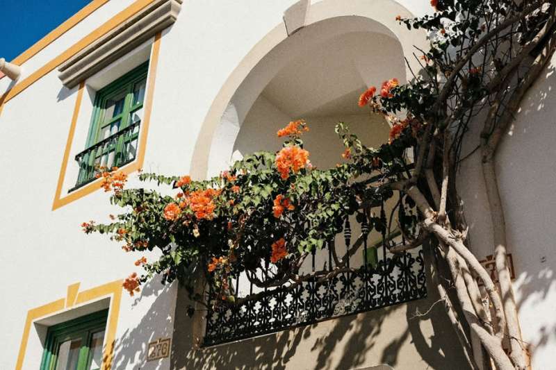From Privacy to Comfort: Why holiday lets are winning over tourists in the Canary Islands