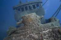 How a sunken tug boat became one of the most popular dive sites in the Canaries