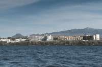 Top 5 Nightlife Experiences in Tenerife: From Beach Clubs to Casinos