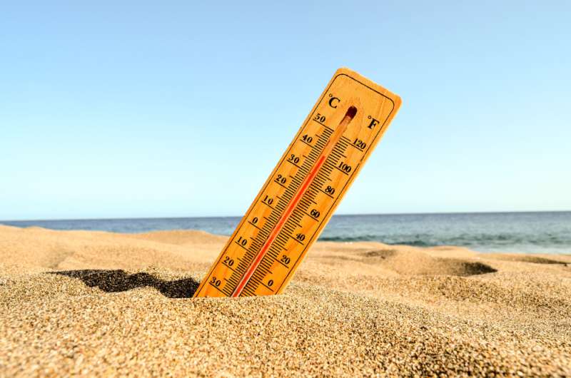 The Canary Islands recorded the seven highest temperatures in Spain this Saturday 