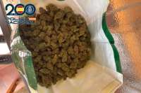 39-year-old man arrested during cannabis farm raid