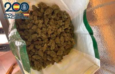 39-year-old man arrested during cannabis farm raid