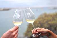 Lanzarote wines crowned among the best in the world