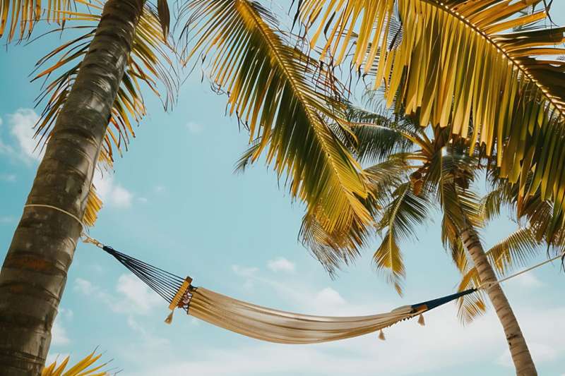 Why the Canary Islands Are Spain’s Secret Paradise