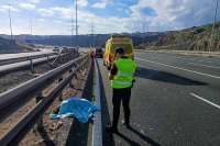 Police investigate how an Emu ended up getting run over on a Canary Islands motorway
