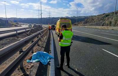 Police investigate how an Emu ended up getting run over on a Canary Islands motorway