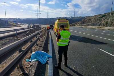Police investigate how an Emu ended up getting run over on a Canary Islands motorway
