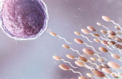 New egg and sperm bank planned for Canary Islands