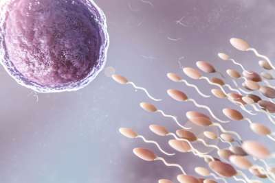 New egg and sperm bank planned for Canary Islands