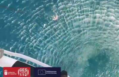 VIDEO: Helicopter rescue for swimmer suffering from hypothermia off Tenerife coast