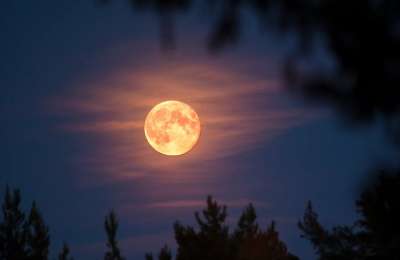 The biggest and brightest moon of the year will light up the sky this week