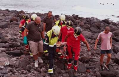 Dead dolphin found on Tenerife beach