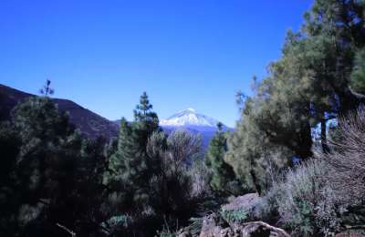 Snow forecast for Tenerife and La Palma on a chilly and cloudy Thursday 