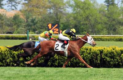 The five feature races at the Cheltenham Festival