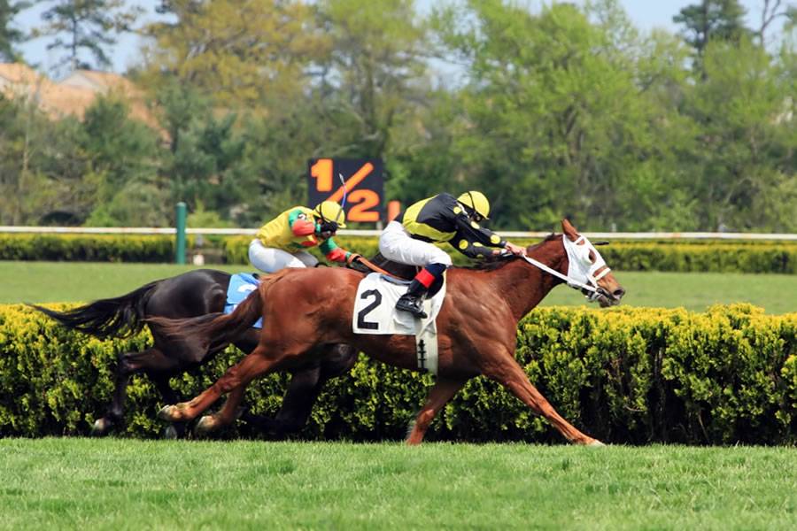 Canarian Weekly - The five feature races at the Cheltenham Festival