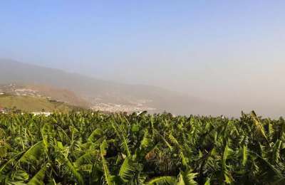 Light haze and mostly clear skies across the Canaries this Sunday