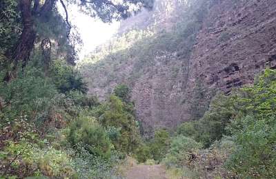 Mummified body found in La Palma Ravine has been identified 
