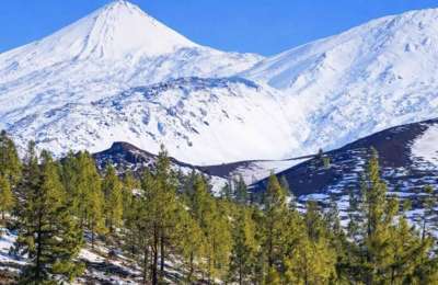 Free bus shuttles to Teide this weekend as Cabildo brings in access restrictions