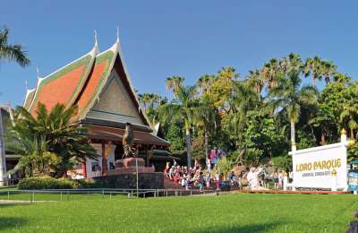 Loro Parque and Poema del Mar help drive record-breaking number of visitors in 2025