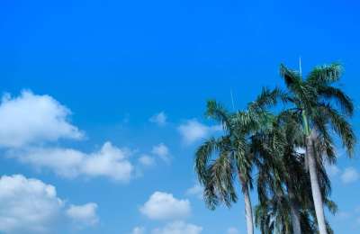 Clear skies and light winds across the Canaries this Sunday