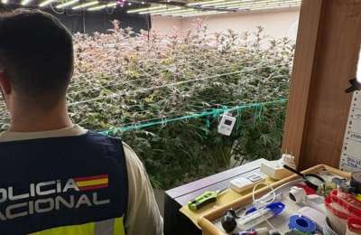 Police raid squatted house and dicover cannabis farm in Fuerteventura