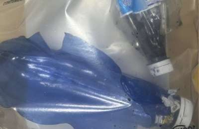 Man arrested for throwing homemade explosives from window during Carnival celebrations