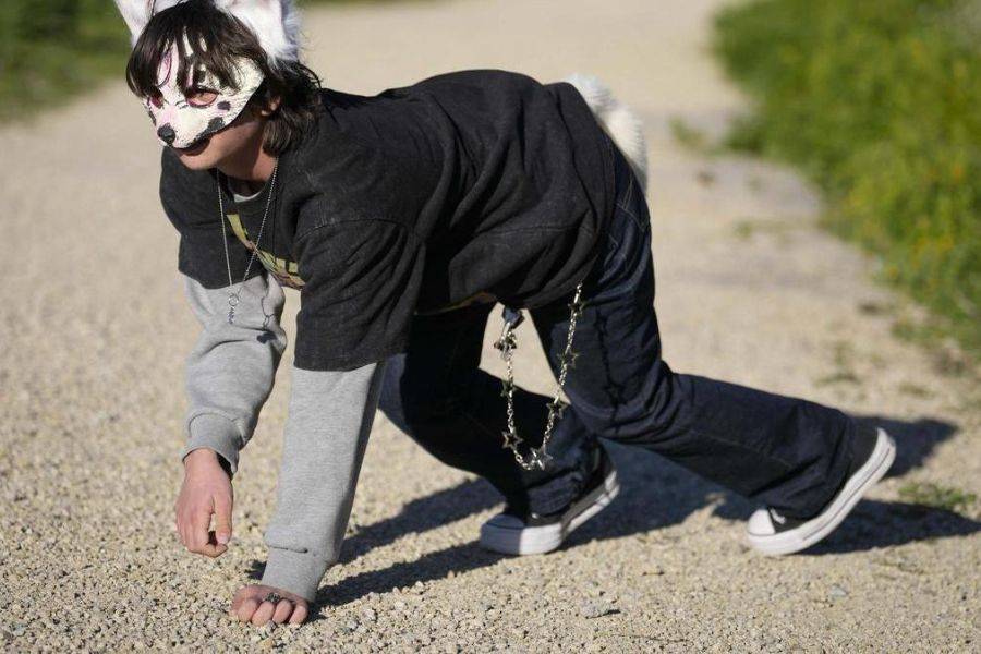 Therian trend of people identifying as animals reaches the Canary Islands