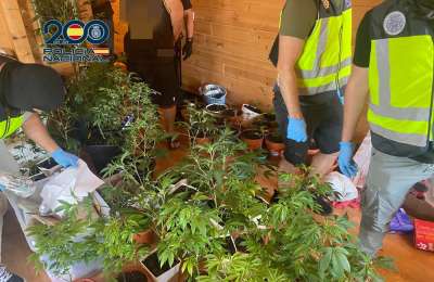Fake ‘Cannabis Club’ raided in South Tenerife for selling drugs to holidaymakers