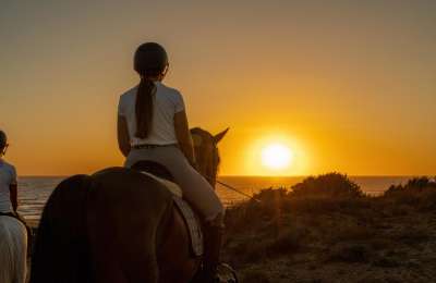 Best Horse Riding Trails in the Canary Islands